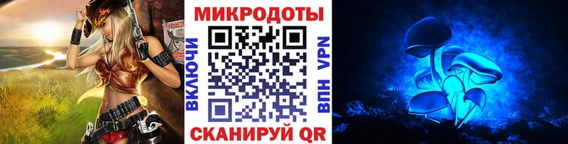 Галлюциногенные грибы Psilocybe  купить закладку  Ельня 